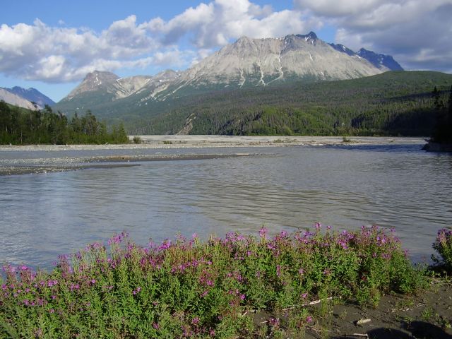 Parc Tatshenshini-Alsek