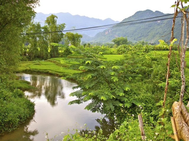 Mai Chau valley