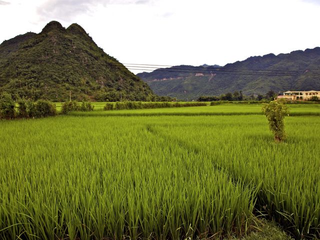 Vallee de Mai Chau