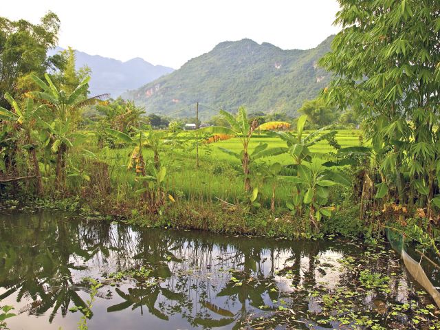 Mai Chau valley