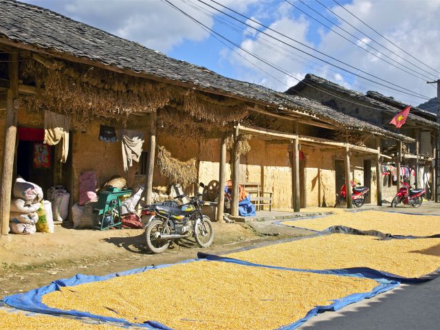 Village Hmong