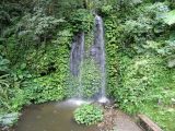 Cascade, patrimoine des forêts tropicales ombrophiles de Sumatra