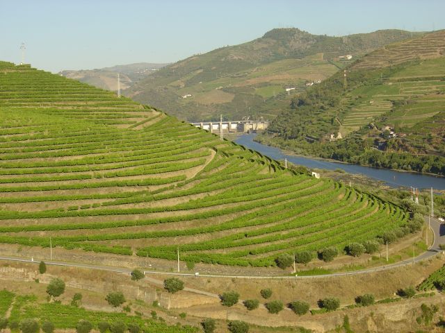 Région viticole du Haut-Douro