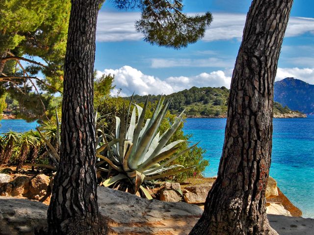 Plage près de l'hôtel Formentor