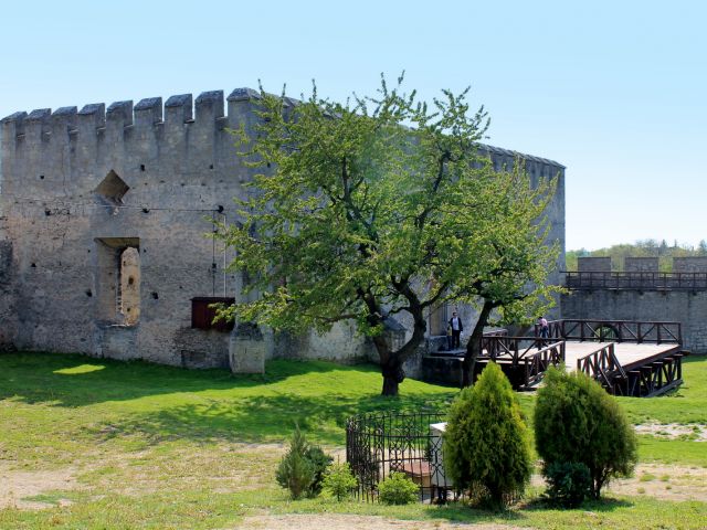 Ruines du château