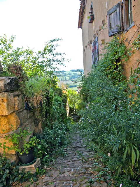 Ruelle pavée et tortueuse