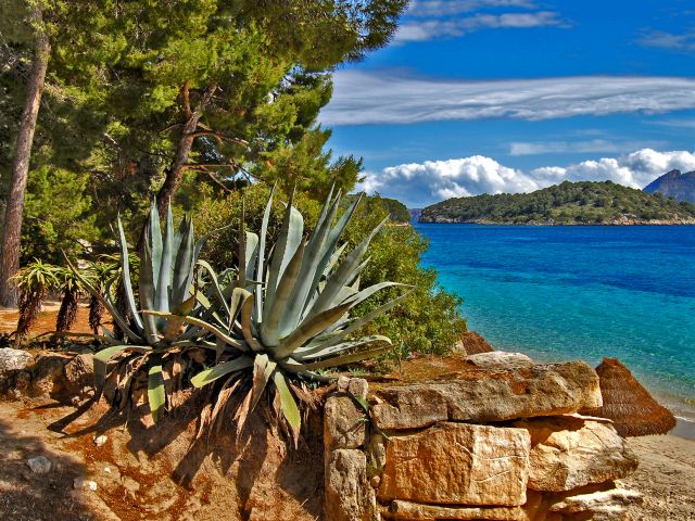 Plage Formentor