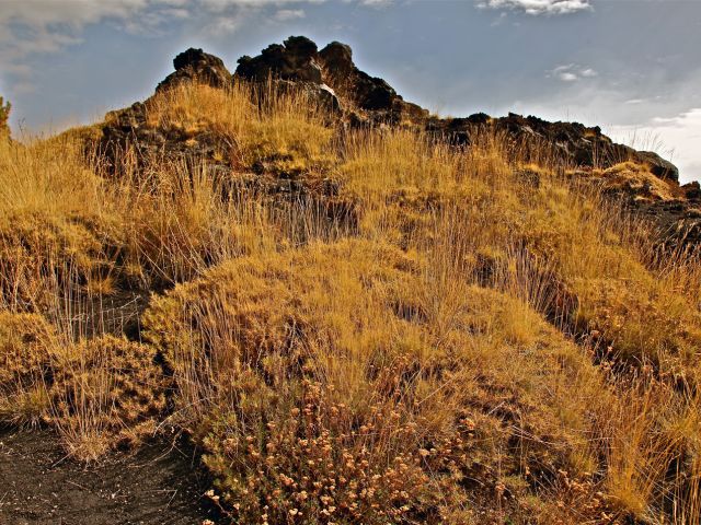 Paysage de l'Etna