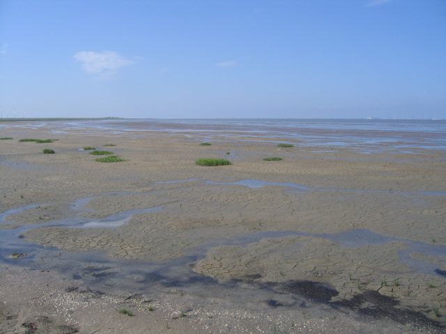 Mer des Wadden