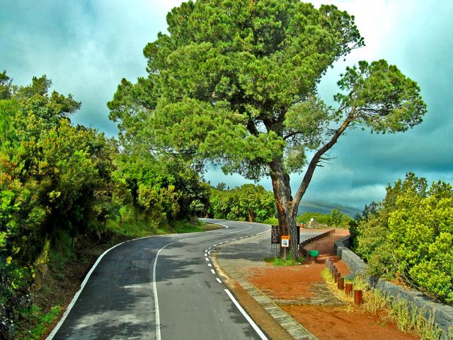 Sur le chemin du Teide