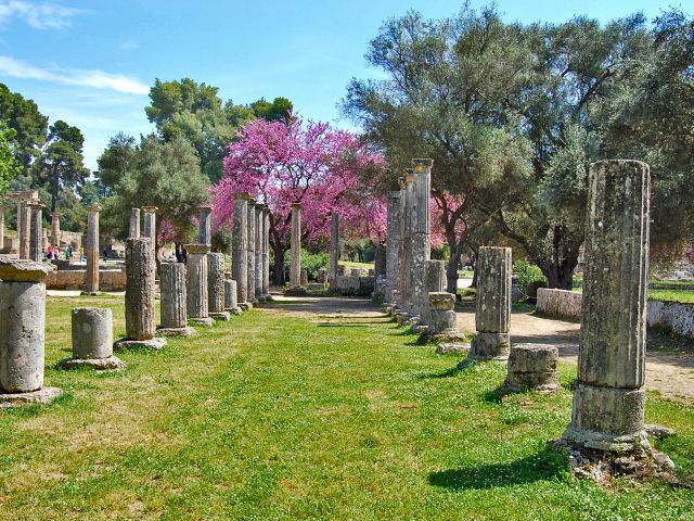 Palestre d'Olympie