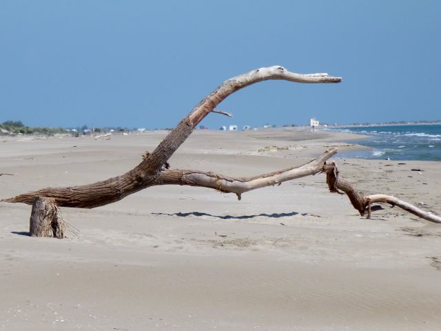 Salin-de-Giraud