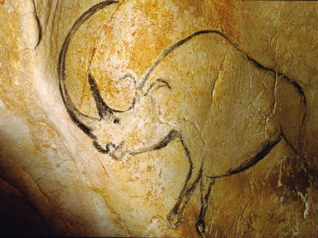 Rhinocéros à grande corne, Grotte Chauvet