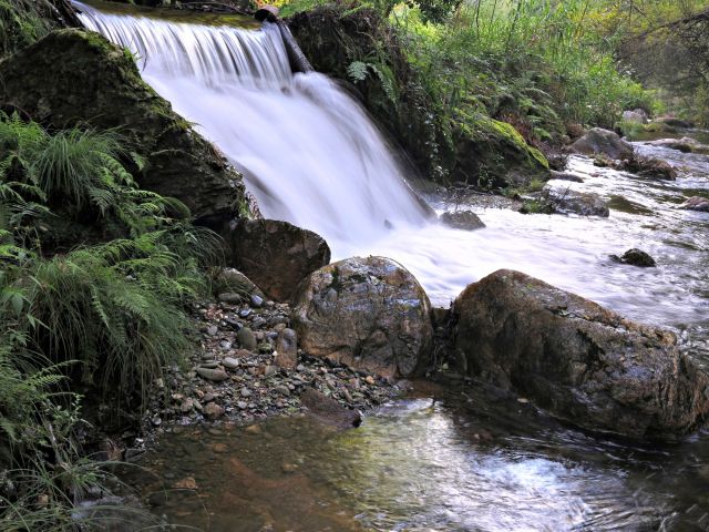 Ribeira de Alge