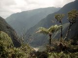 Parc national Rio Abiseo