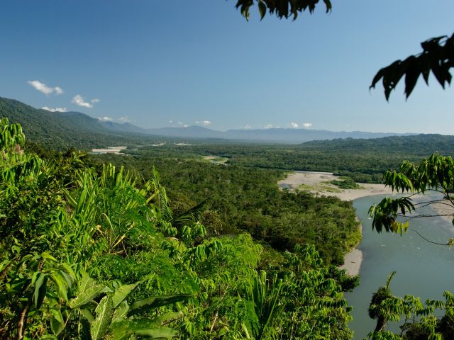 Parc national de Manu