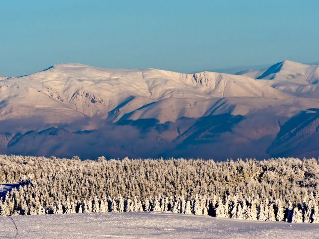 Parc national de Semenic