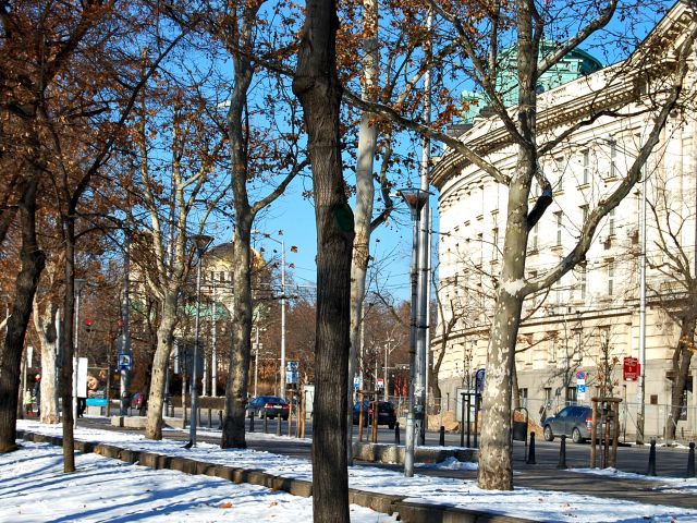 Université de Sofia