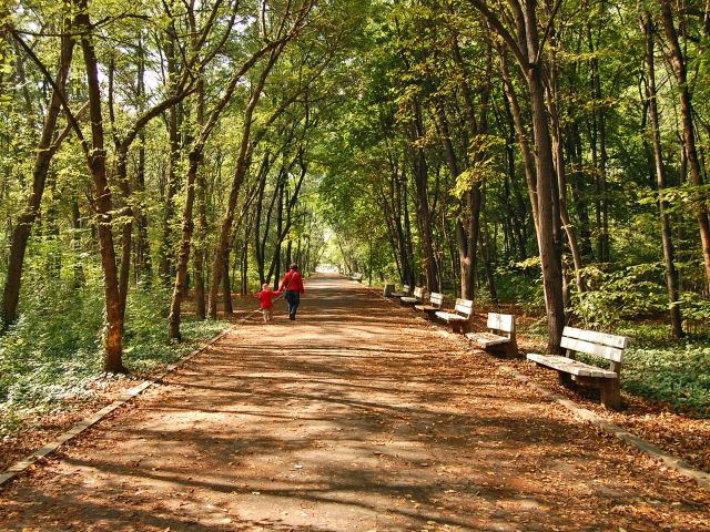Parc au sud de Sofia