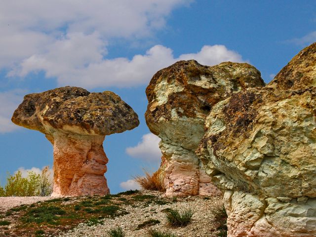 Les champignons de pierre