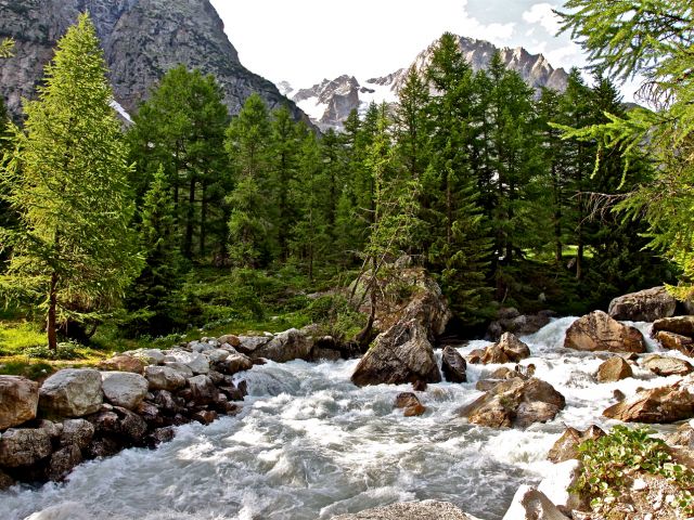 Torrent du Val Ferret