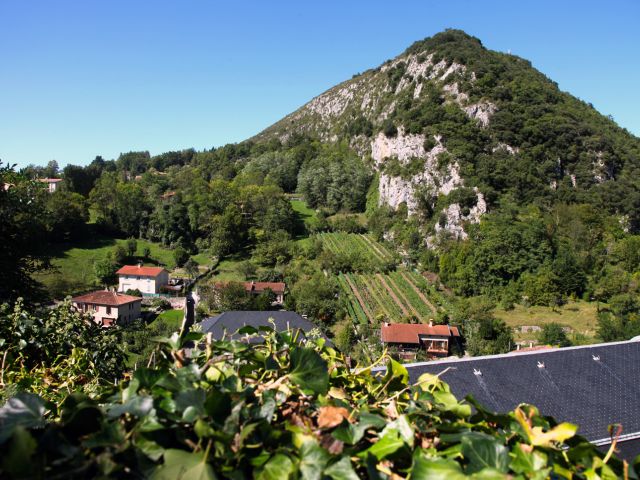 Vue du château de Foix