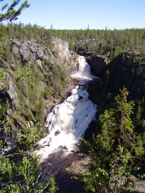 Parc national de Muddus