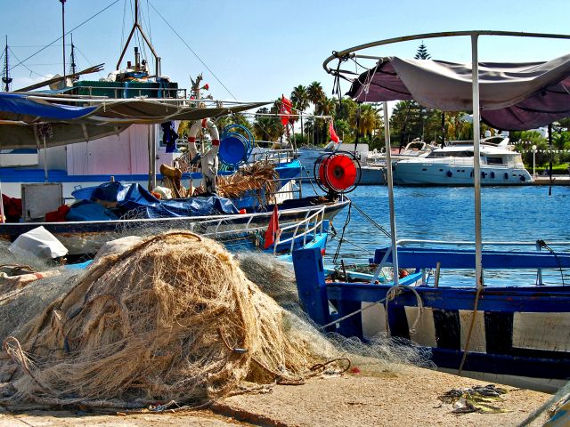 Yachts et bateaux de pêche