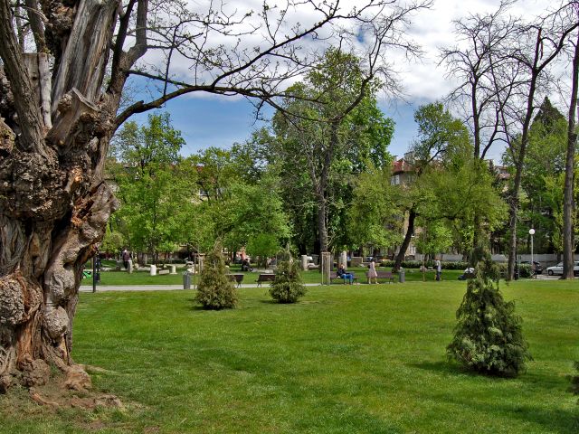 Vestiges archéologiques au Doctors' Garden, Sofia