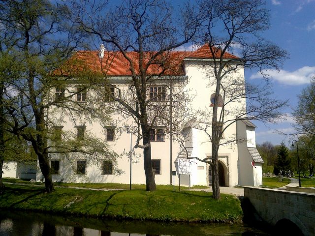 Château à Szydłowiec