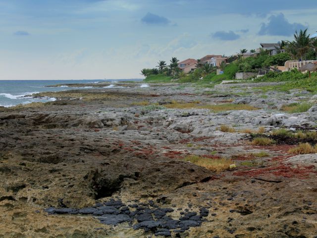 Fragment de la côte près de Puerto Aventuras
