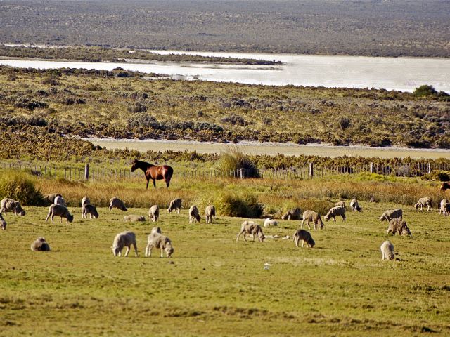 Parc Lapataia