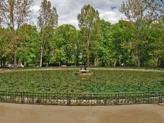 Lac de lys au jardin de Boris, Sofia