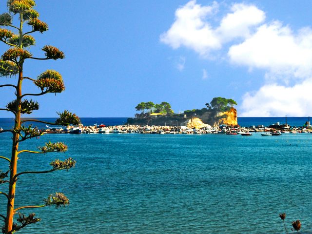 Îles des tortues