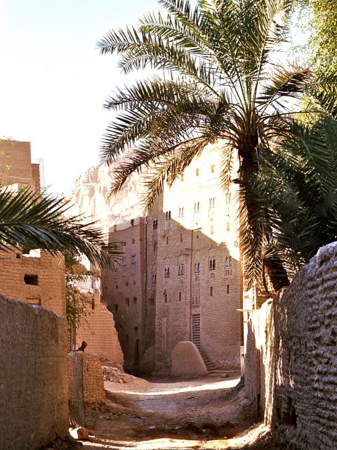 Ruelle de Tarim