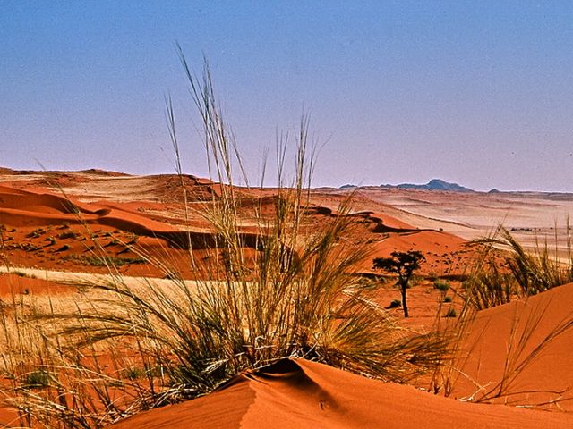 Dunes du Namib