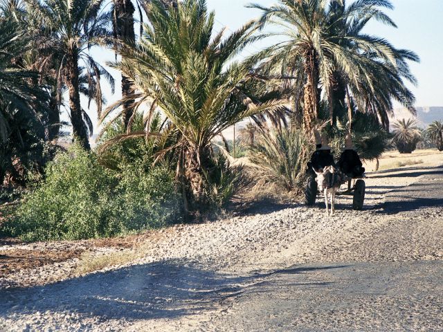 Vallée de l'Hadramaout