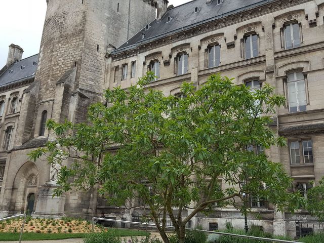 Hôtel de ville d'Angoulême