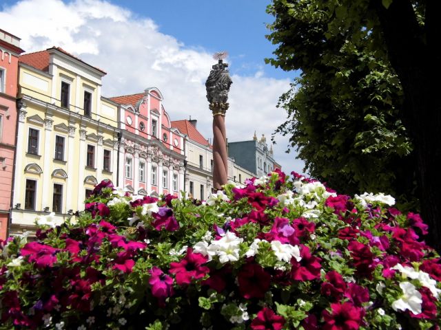 Place du marché à Świdnica