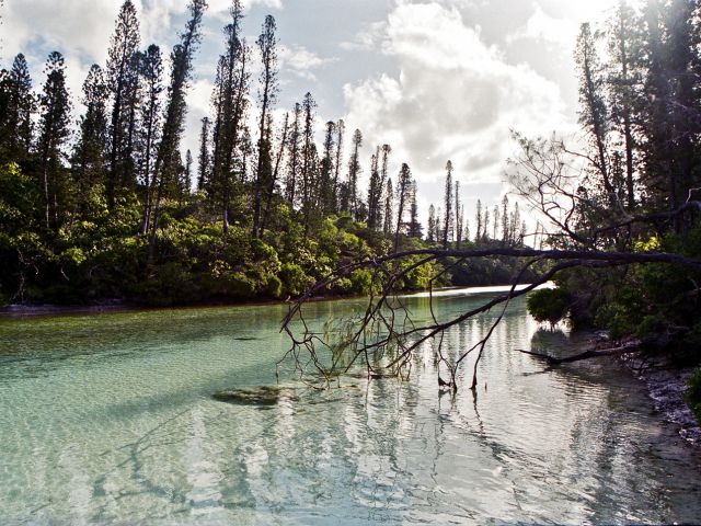 Piscine naturelle