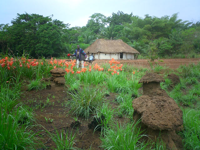 Countryside