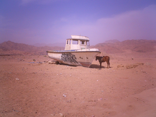 Dahab