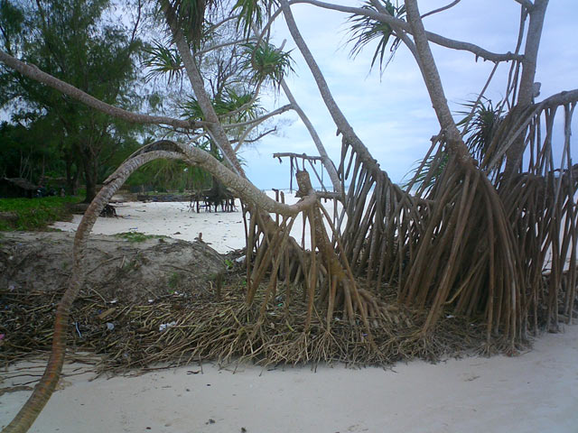 Plage de Diani