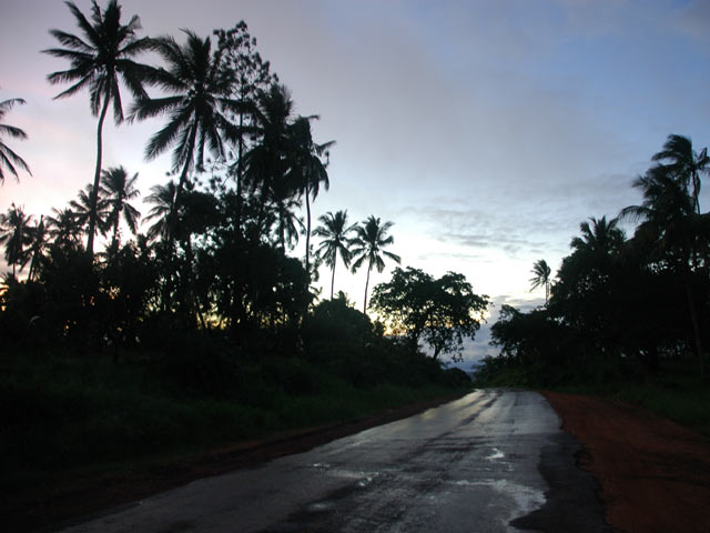 Réserve Nationale Shimba Hills