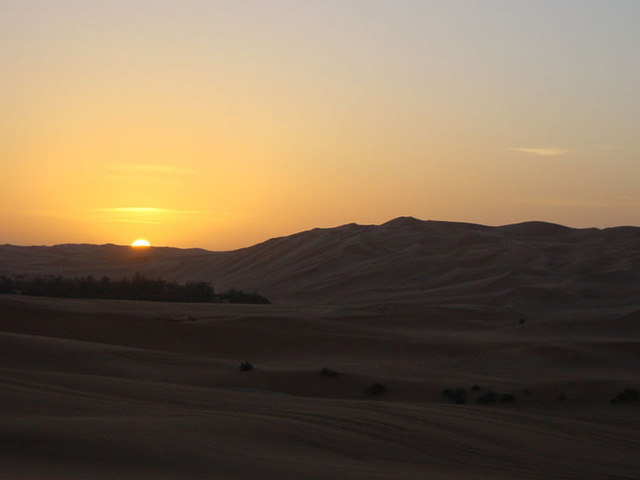 Desert landscape