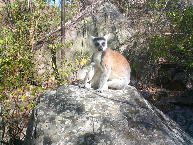 Ambalavao Park