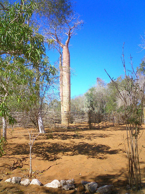 Toliara Province