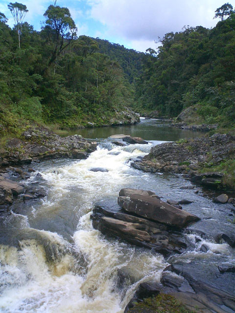 Parc national de Ranomafana