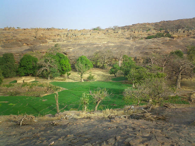 Dogon plateau