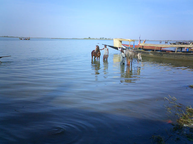 Niger River